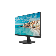 Hikvision DS-D5024FN 23,8 inç FHD Çerçevesiz Monitör