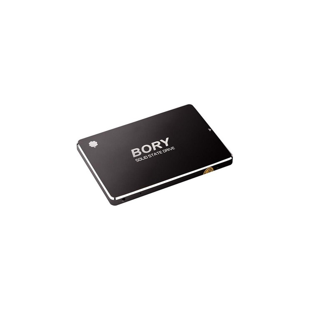 BORY 1 TB SATA3 R500-C1T SSD 550/510 MBS (3 YIL GARANTİLİ)