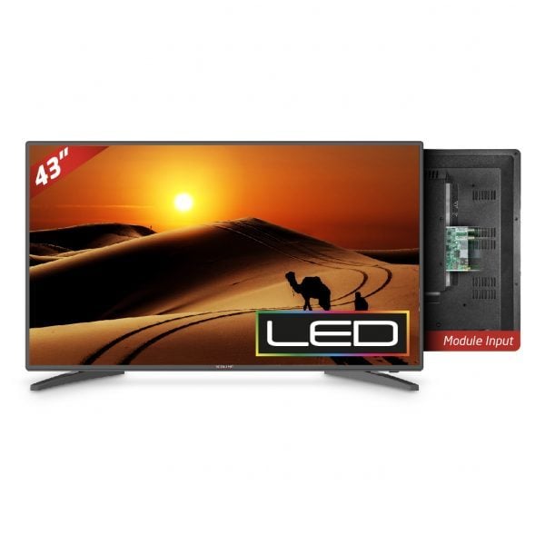 Redline 43'' Modüllü LED Monitör / TV