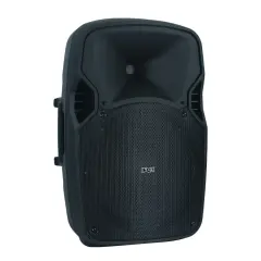 İFOX FX-6015 15’’ 2 YOLLU PASİF KABİN